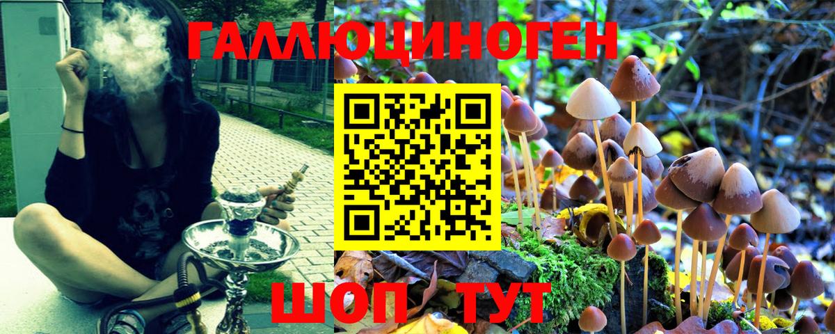 Псилоцибиновые грибы Psilocybine cubensis Каспийск