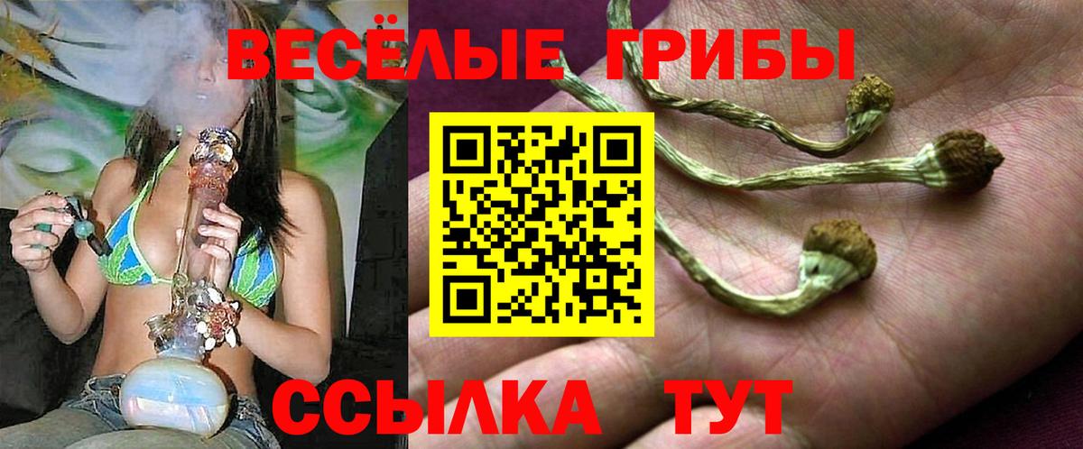 Галлюциногенные грибы Psilocybe  Галлюциногенные грибы Cubensis  Каспийск  Вход с VPN 